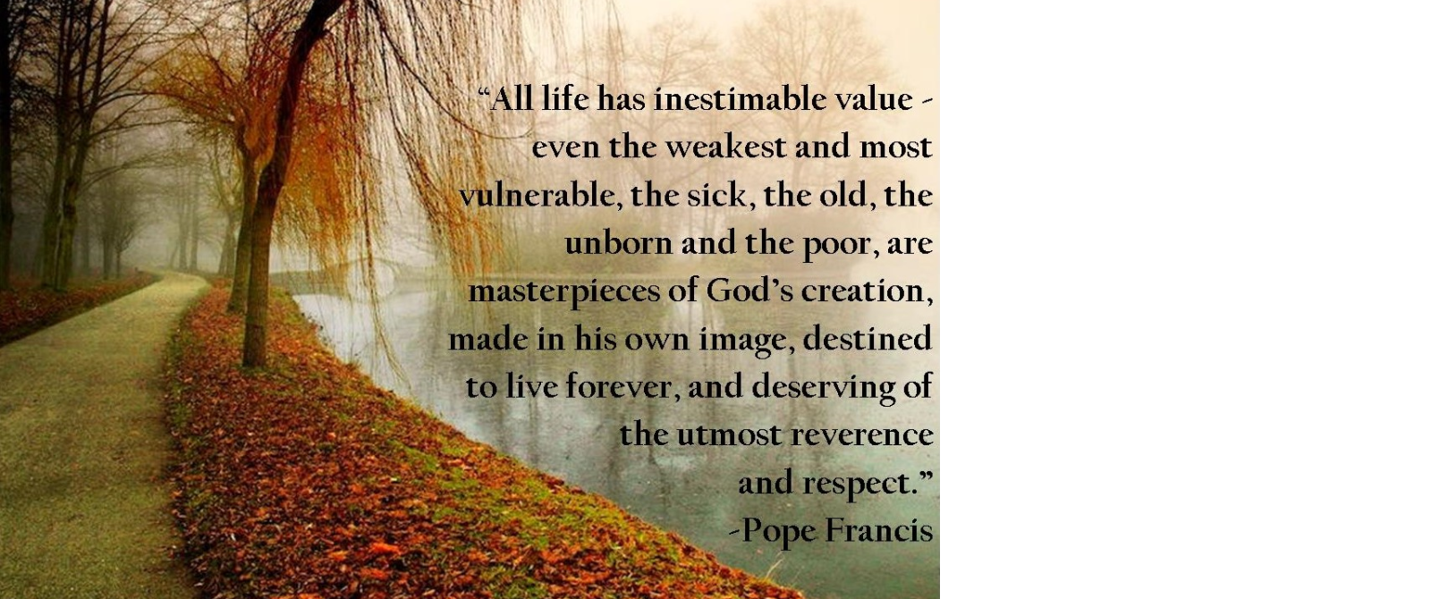 Respect Life Month October