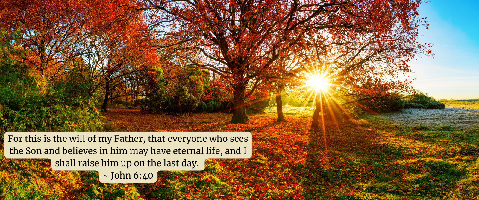 Autumn Eternal Life